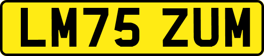 LM75ZUM