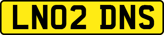 LN02DNS