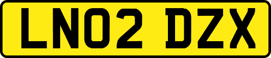 LN02DZX