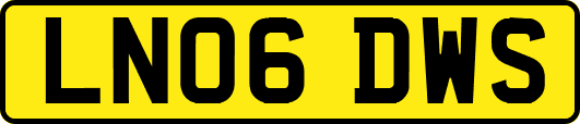 LN06DWS