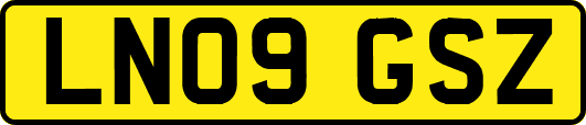LN09GSZ