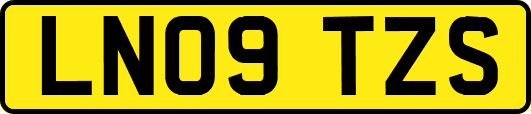 LN09TZS