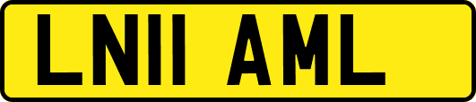 LN11AML