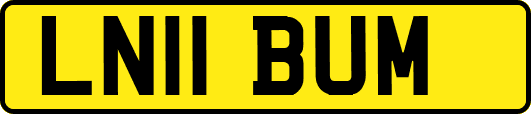 LN11BUM