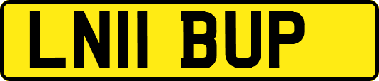 LN11BUP