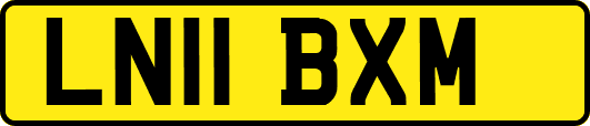 LN11BXM