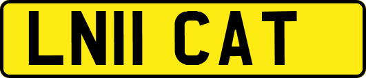 LN11CAT