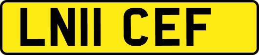 LN11CEF