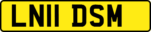 LN11DSM