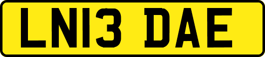 LN13DAE