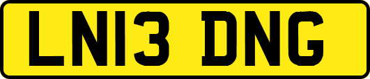 LN13DNG