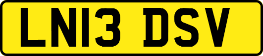 LN13DSV