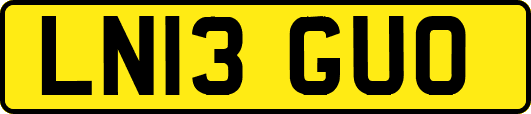 LN13GUO