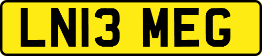 LN13MEG