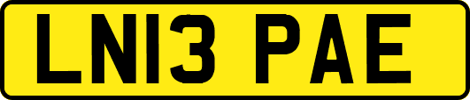 LN13PAE