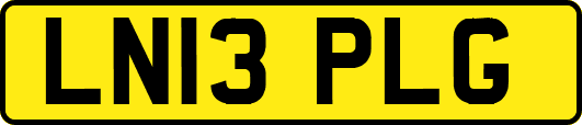 LN13PLG