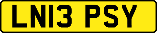 LN13PSY