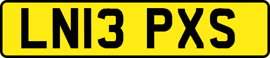 LN13PXS