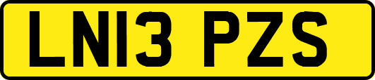 LN13PZS