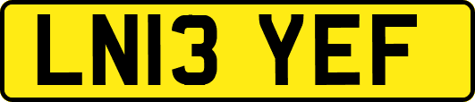 LN13YEF
