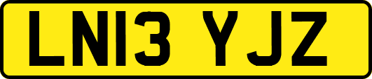 LN13YJZ