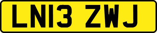 LN13ZWJ