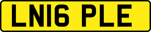 LN16PLE