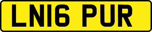 LN16PUR