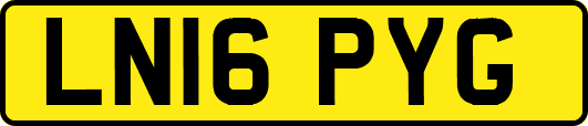 LN16PYG