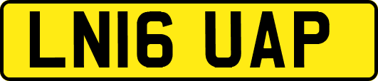 LN16UAP