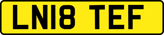 LN18TEF