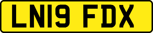 LN19FDX