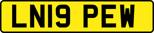 LN19PEW