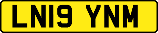 LN19YNM