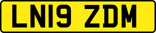 LN19ZDM