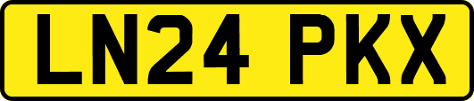 LN24PKX