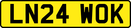 LN24WOK