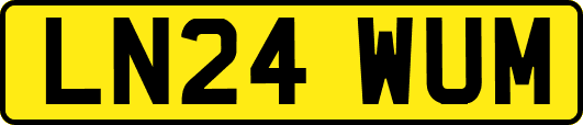 LN24WUM