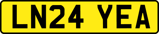 LN24YEA