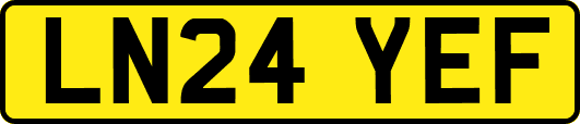 LN24YEF