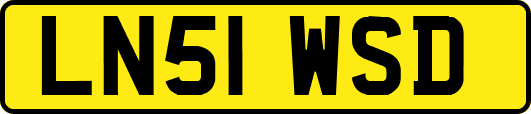 LN51WSD