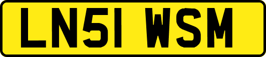 LN51WSM