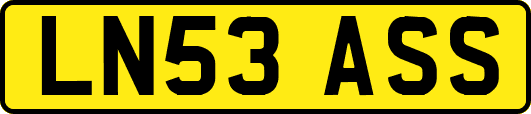 LN53ASS