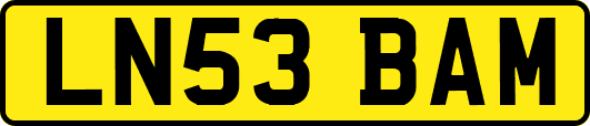 LN53BAM