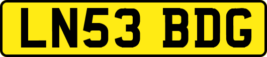 LN53BDG