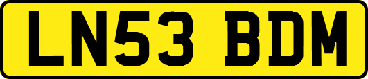 LN53BDM