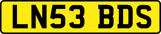 LN53BDS