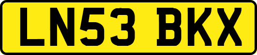 LN53BKX