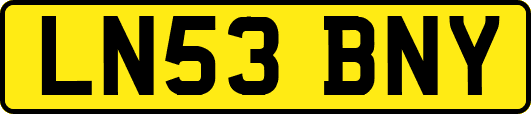LN53BNY