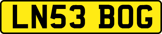 LN53BOG